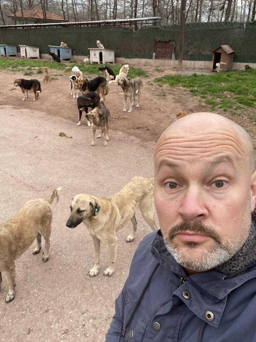 DJ Bülo vor Ort in einem Tierheim für Straßenhunde im Ausland